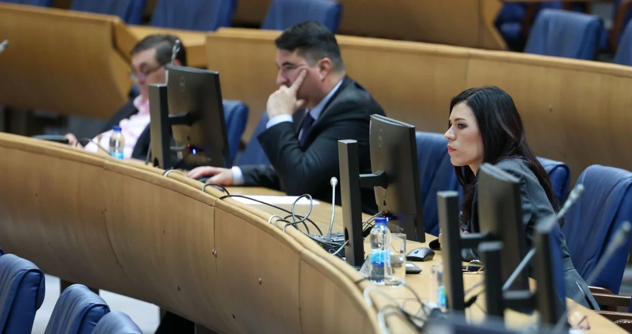 Predstavnički dom PSBiH/Fena