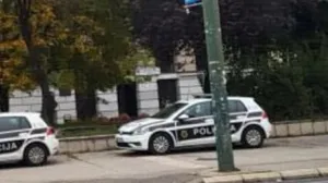 Intervenirali policajci/Crna-hronika//