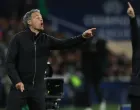 Luis Enrique - trener PSG-a/Foto: 