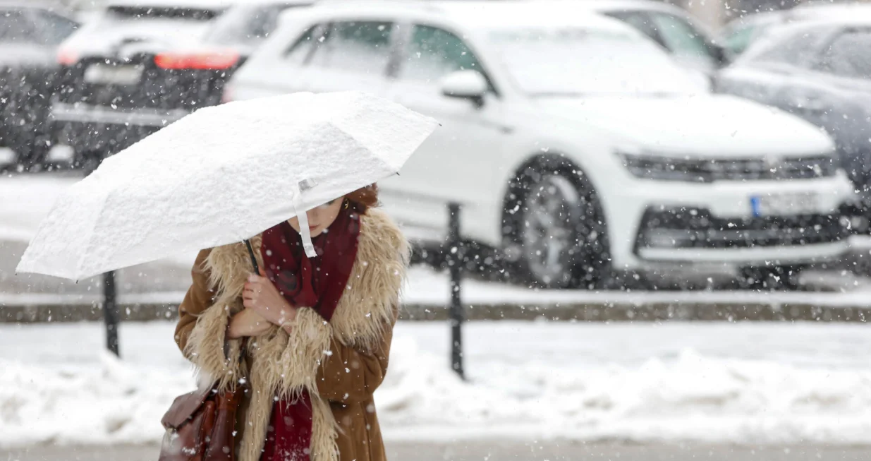 Snijeg ilustracije/Damir Deljo