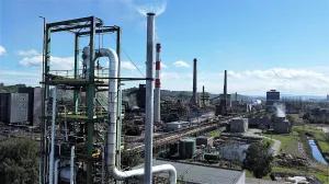 Koksara Lukavac/Koksara Lukavac Web