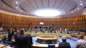 Dom naroda PSBiH/Fena