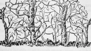 Šta ste prvo vidjeli?/Facebook