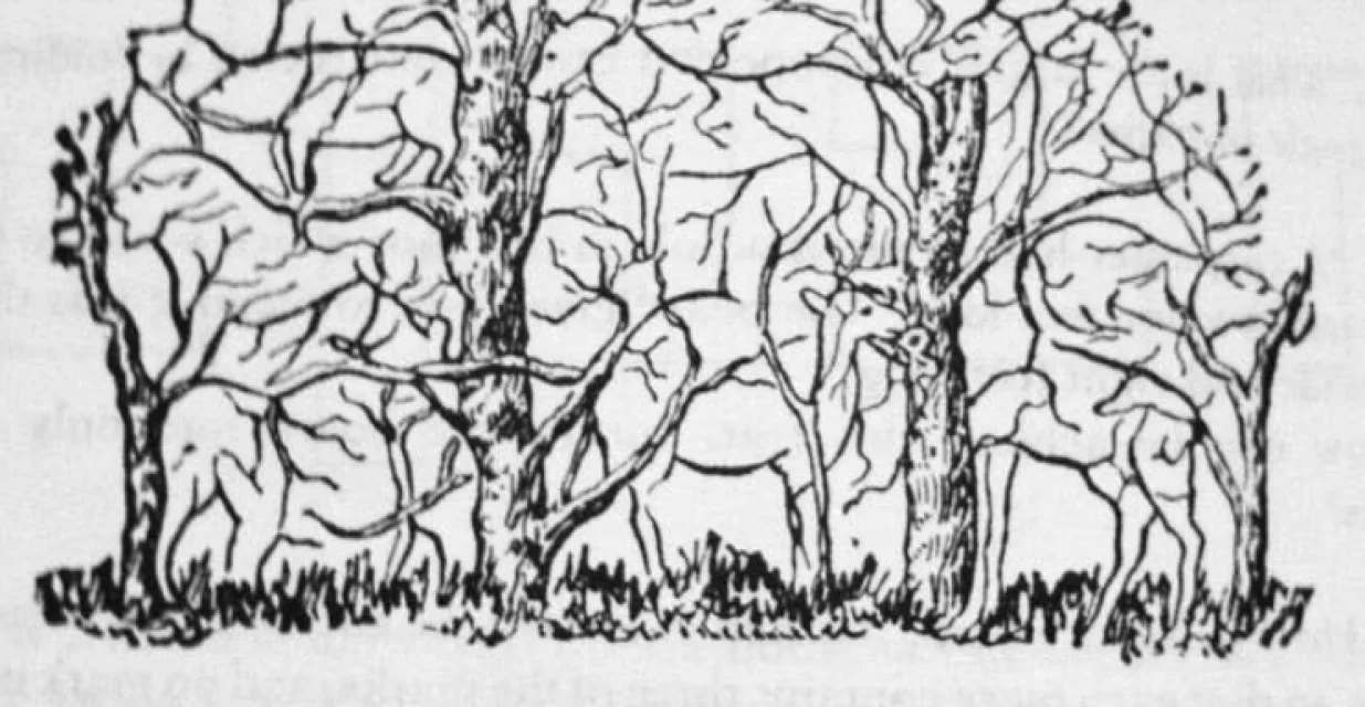 &Scaron;ta ste prvo vidjeli?/Facebook