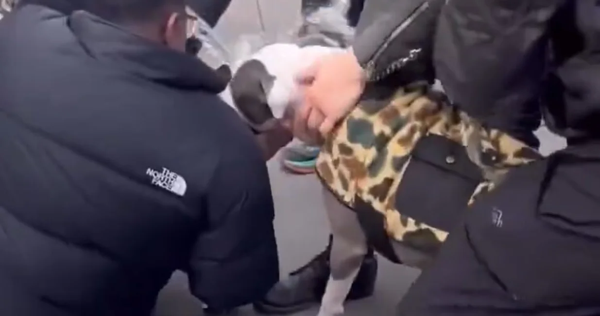 Napad na dijete u New Yorku/Screenshot X