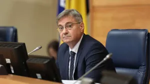 denis zvizdić pd psbih/