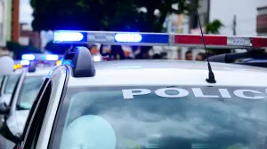 policija, amerika, usa, sad/Pixabay