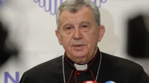 Božićna poruka vjernicima vrhbosanski nadbiskup monsinjor Tomo Vukšić/Senad Gubelić
