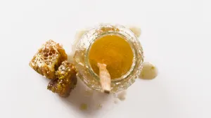 Genijalno rješenje/Free Pik