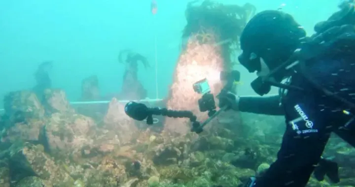 Otkriće, struktura, more, obala Francuske/X