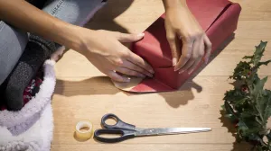 Ovaj trik sve olakšava/Free Pik