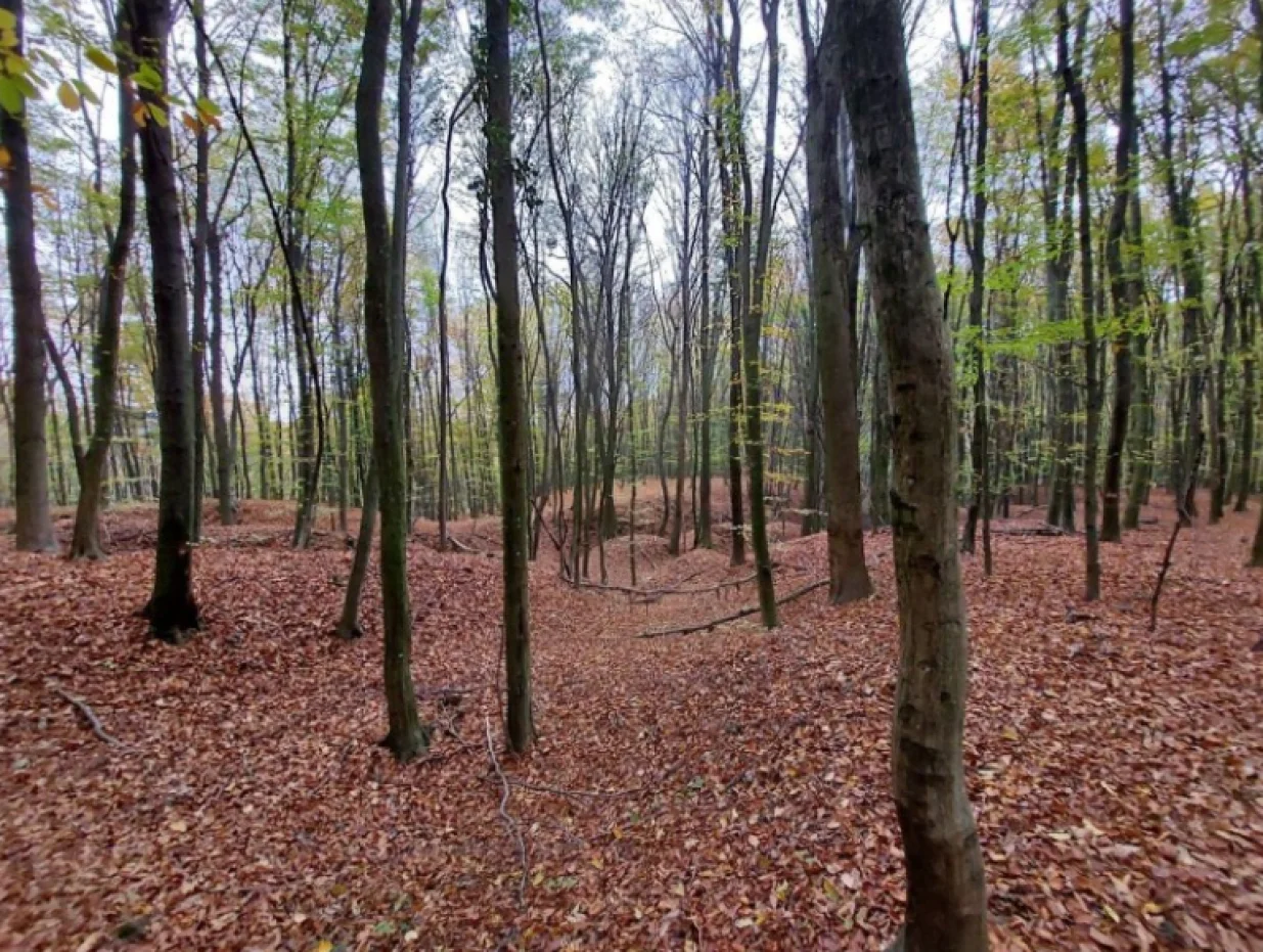 Bunker JNA, Novigrad Podravski, Hrvatska, &scaron;uma/Punkufer.hr