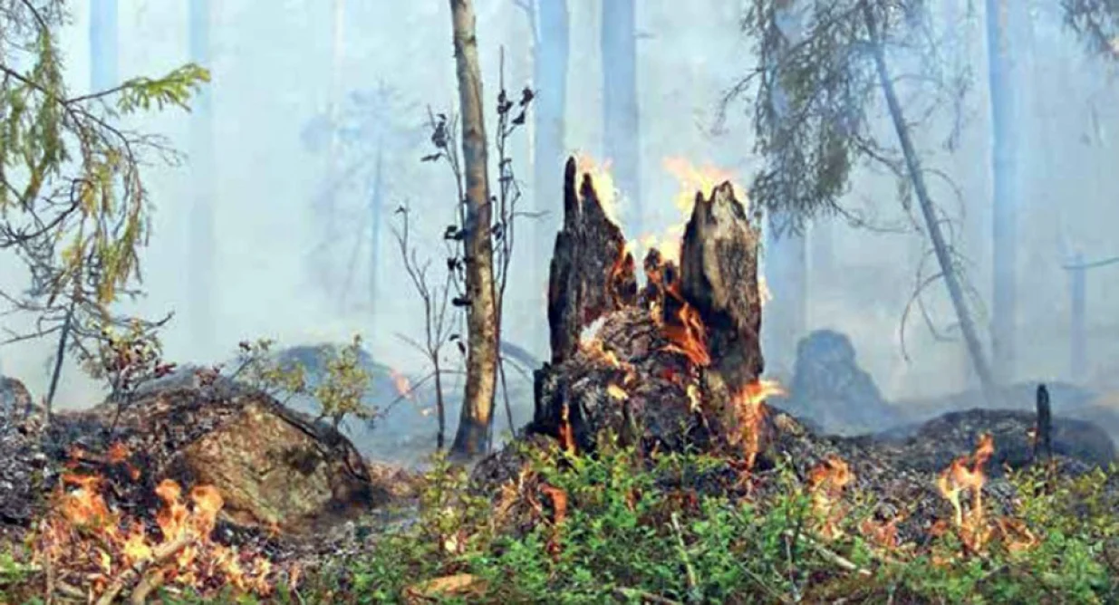 požari za klimatske/