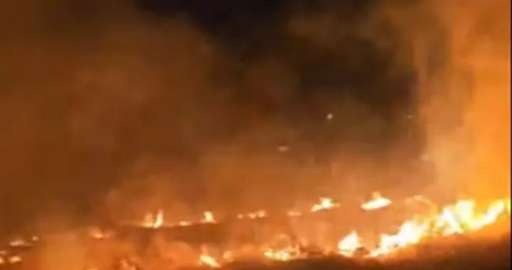 Planulo nisko rastinje/Facebook//