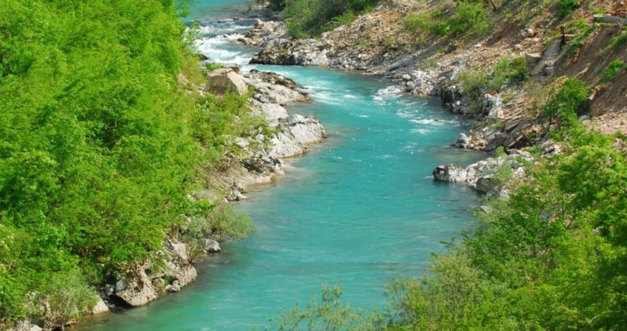 rijeka/Ilustracija/Ilustracija