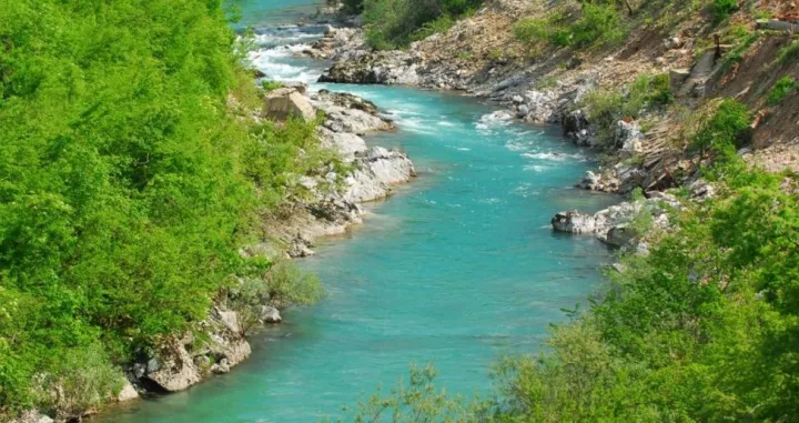 rijeka/Ilustracija/Ilustracija