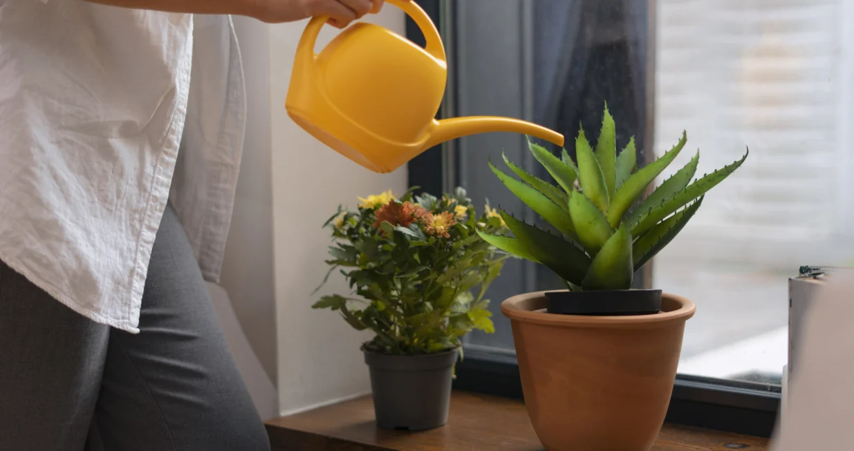 Uz ove savjete preživjet će i najvrelije dane/Free Pik