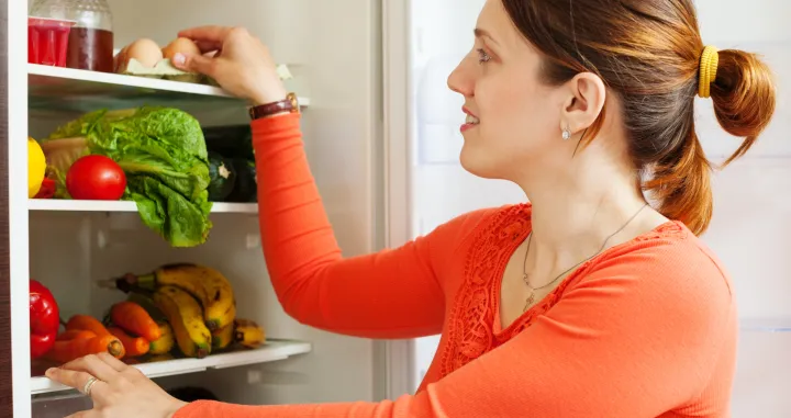 Pravilno skladi&scaron;tenje tople hrane razja&scaron;njeno/Free Pik