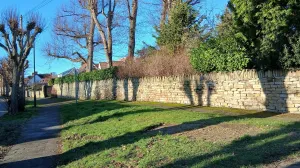 Urbano zelenilo zimi/