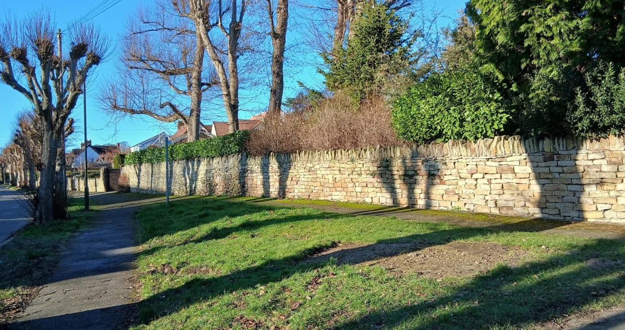 Urbano zelenilo zimi/