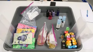 Zapljena na aerodromu/Granična Policija Bih