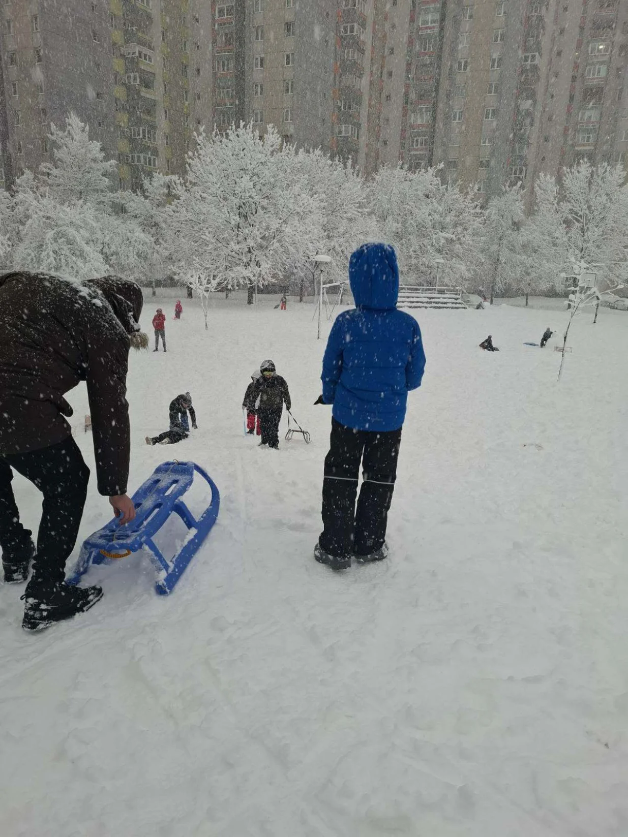 zimske radosti/čitatelj