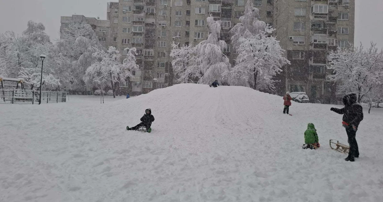 zimske radosti/čitatelj