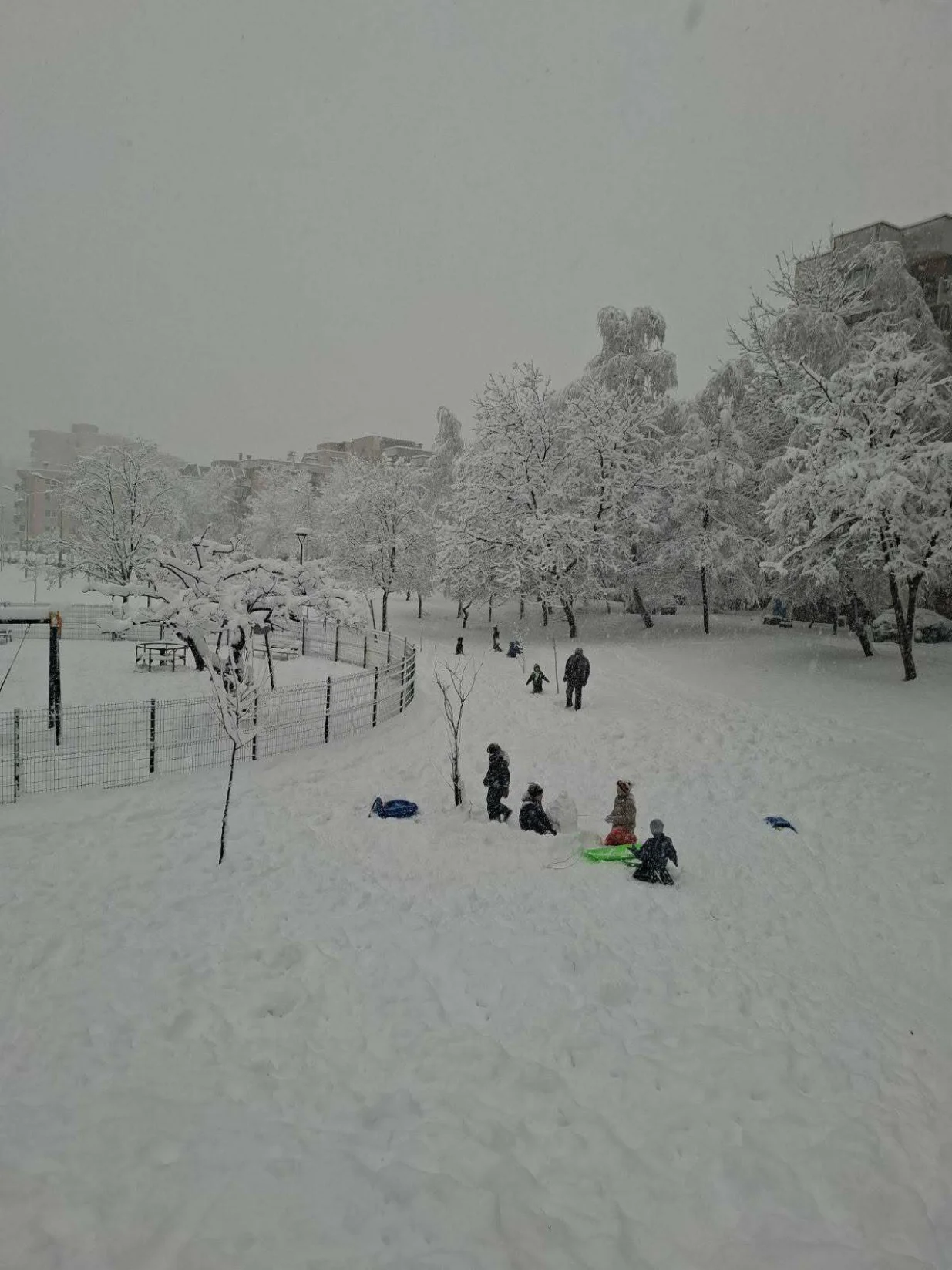 zimske radosti/čitatelj