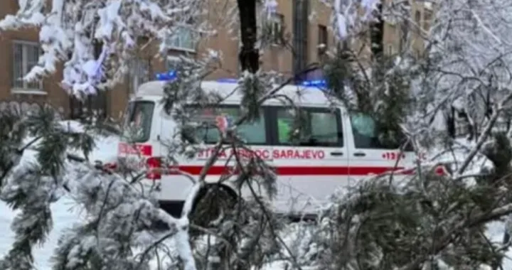 Drvo, Grbavica, pad drveta, snijeg, povrijeđena jedna osoba/Crna Hronika