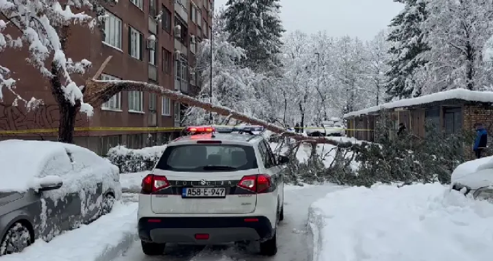 MUP KS, snijeg, policija, patrola, palo stablo, Grbavica, poginula žena/Prtsc