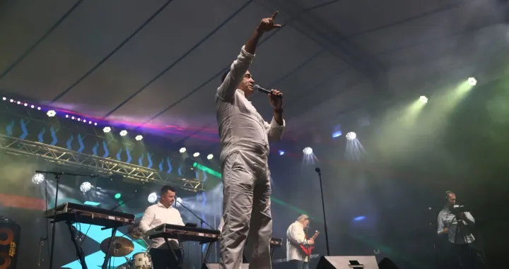 Nihad Fetić Hakala/Zsf