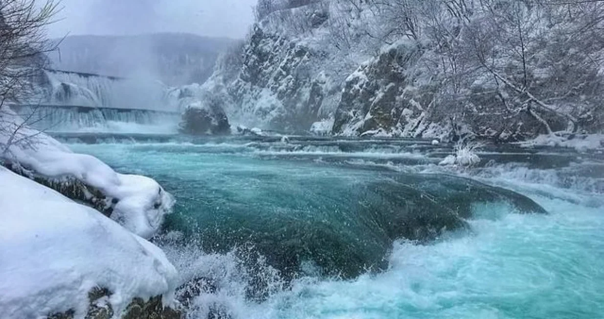 &Scaron;trbački buk u bijelom ruhu/