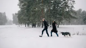 Opasnost na minusu/Free Pik