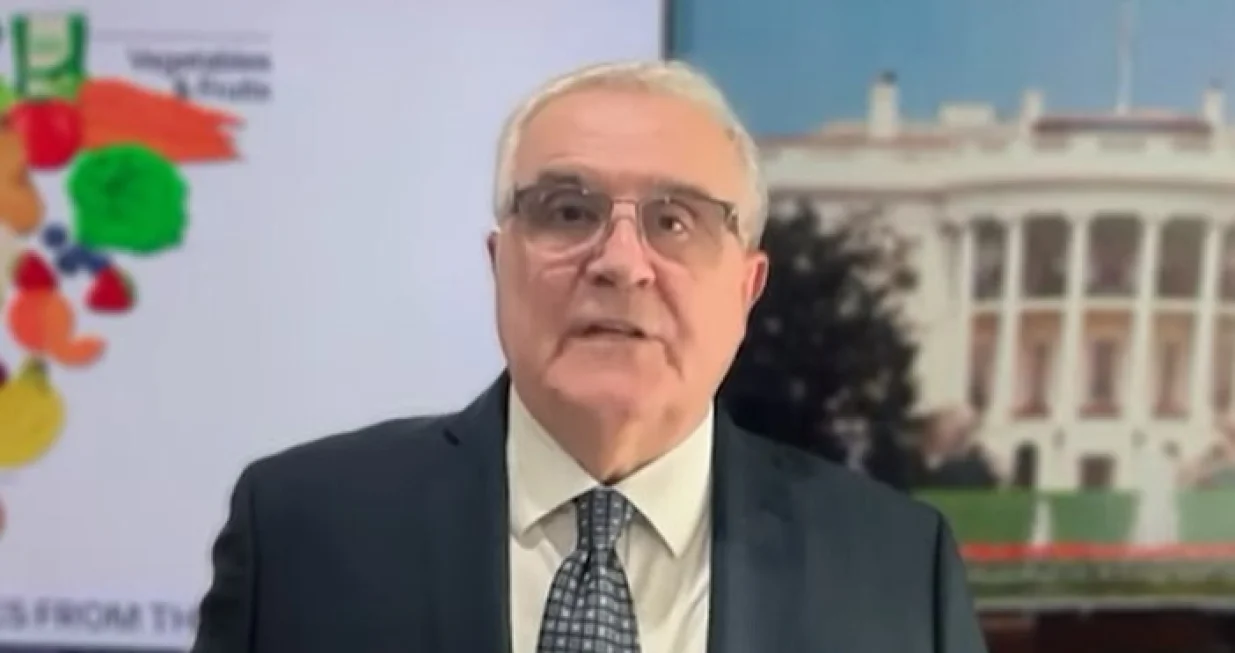 ivica puljić o povlačenju sad-a iz 66 međunarodnih organizacija/Screenshot