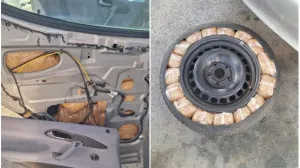 Krijumčario duhan/PU splitsko-dalmatinska/