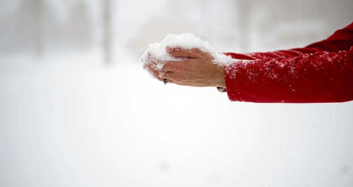 Obratite pažnju/Free Pik