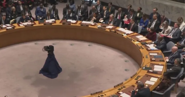 Vijeće sigurnosti UN-a o BiH/