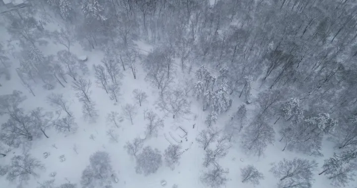 Zvezdara prekrivena snijegom/Zorana Jevtic
