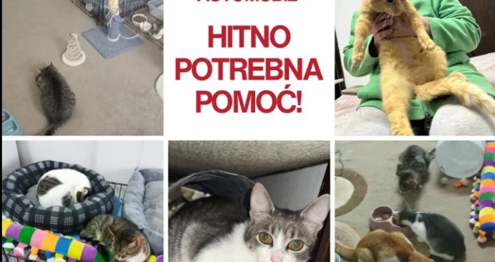 Upućen apel za pomoć/Facebook//