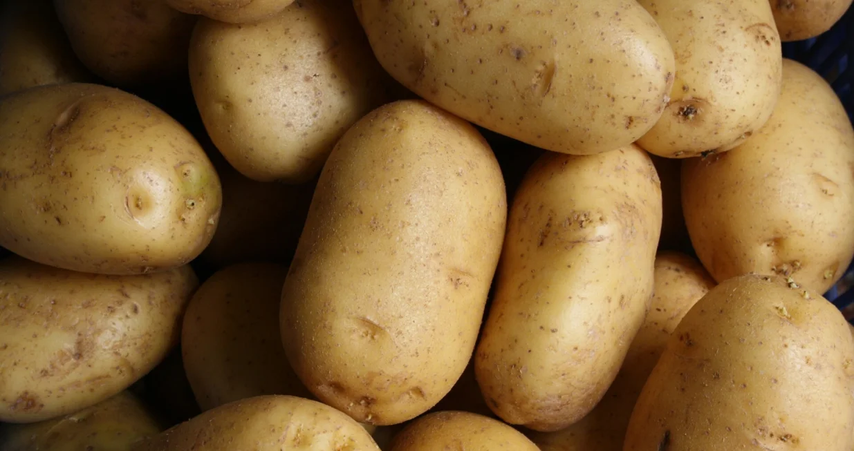 Čuvajte ga na hladnom, tamnom i suhom mjestu/Unsplash