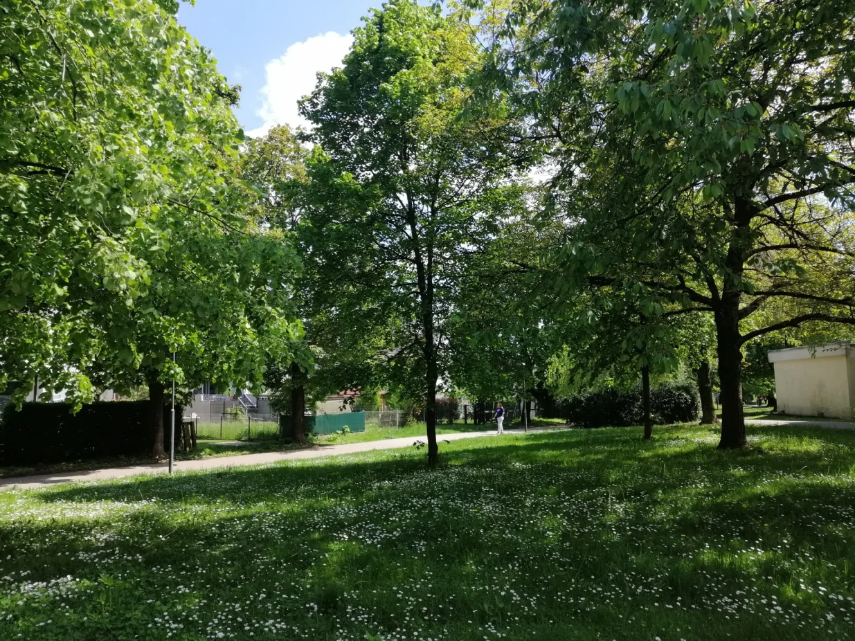 Rasko&scaron;no urbano drveće/