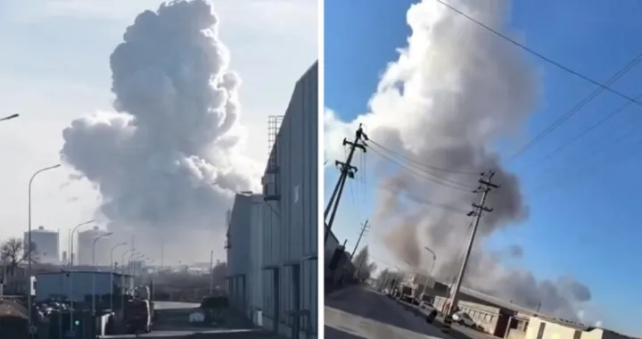 Stra&scaron;ni prizori/Printscreen/X.com//