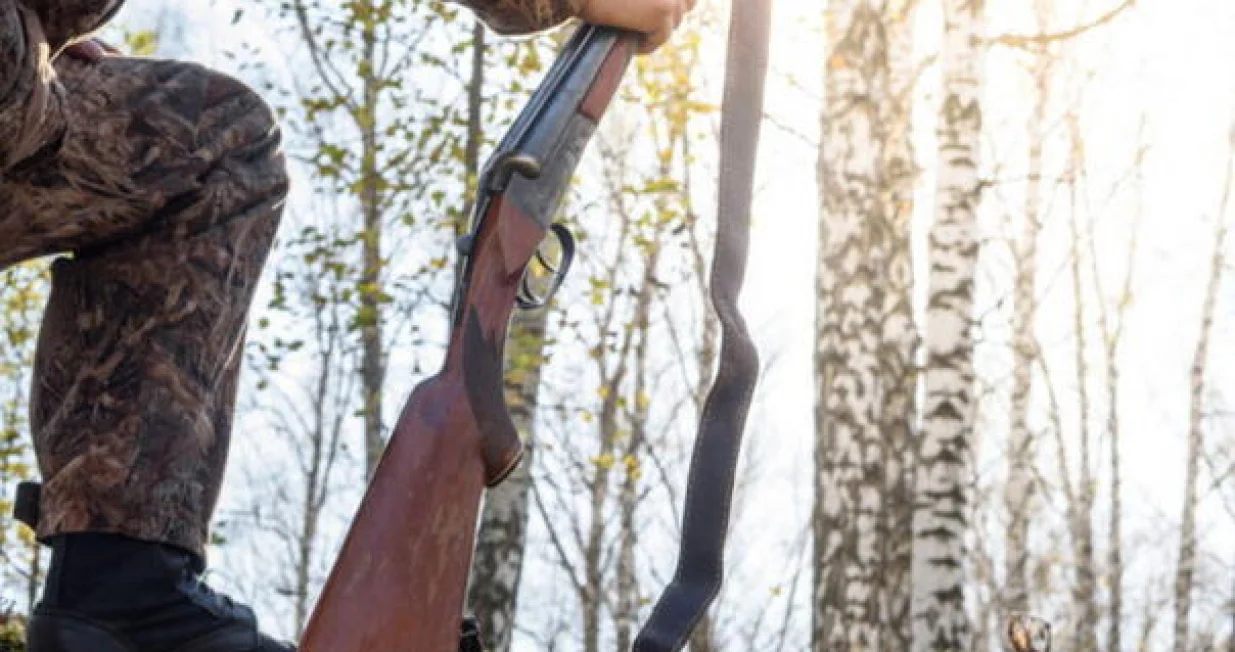 Lovačka pu&scaron;ka, lovac, lovci, lov, &scaron;uma, lov u &scaron;umi/Ilustracija/