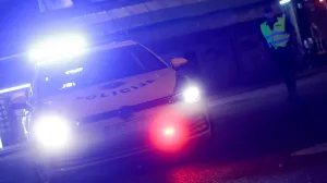 Policija MUP KS ilustracije/Damir Deljo