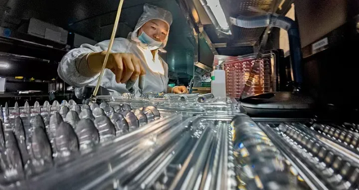 Rast kineskog BDP-a 5 odsto/