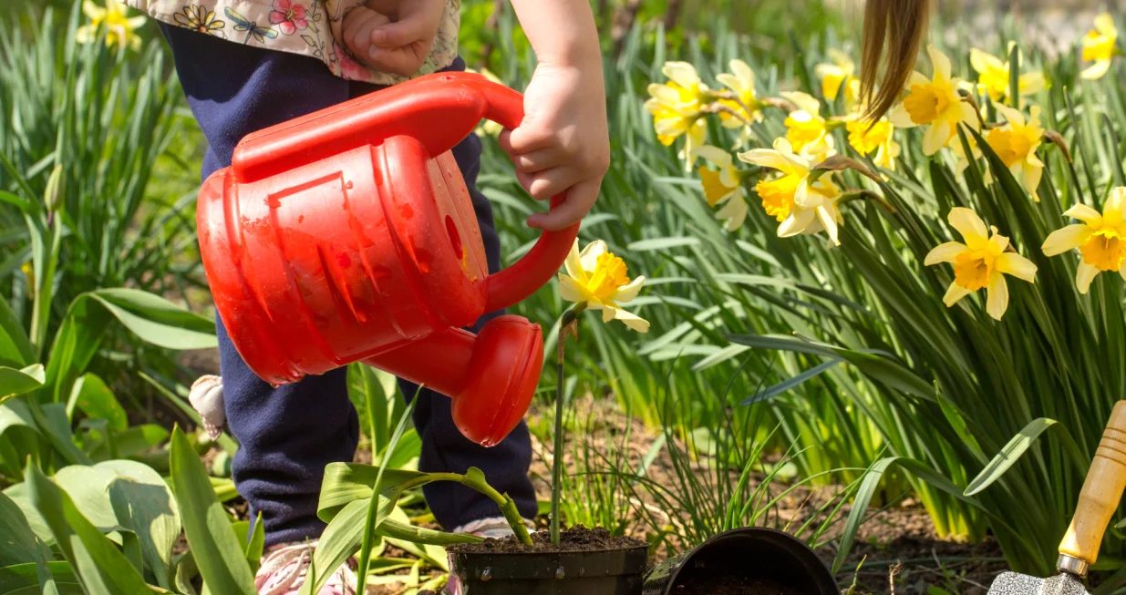 Ba&scaron;ta u augustu ne mora stradati/Free Pik