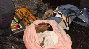 Pronađeni ukradeni predmeti/MUP TK/