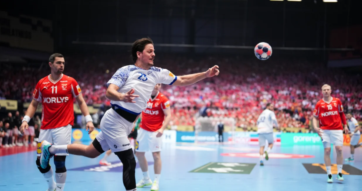 Detalj sa meča Portugal - Danska/Foto: 