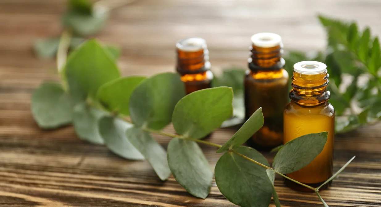 Či&scaron;ćenje pra&scaron;ine/