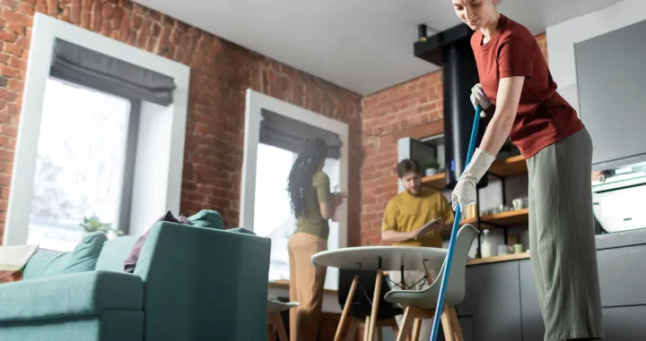 Či&scaron;ćenje doma//